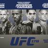 UFC 178 Betting Free Picks & Odds